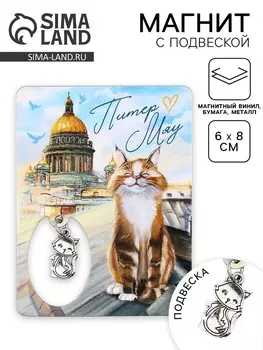 Магнит "Питер", 6 х 8 см