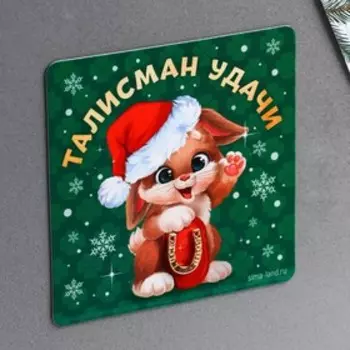 Магнит «Талисман удачи», 8 х 8 см