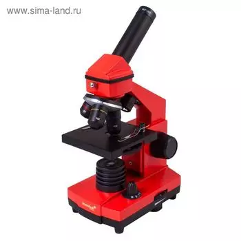 Микроскоп Levenhuk Rainbow 2L PLUS Orange/Апельсин