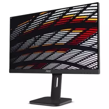 Монитор AOC 23.8" Professional 24P1(00/01) черный IPS LED 16:9 DVI HDMI M/M матовая HAS Piv 100461