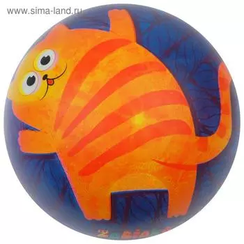 Мяч детский ZABIAKA «Котик», d=22 см