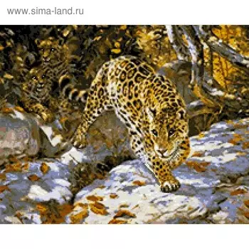 Набор алмазной вышивки «Леопарды»