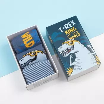 Набор детских носков KAFTAN "T-REX" 3 пары, размер 14-16