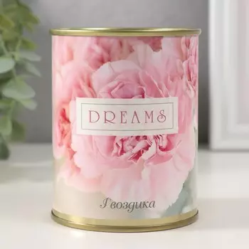 Набор для выращивания растений в банке «DREAMS» (Гвоздика)