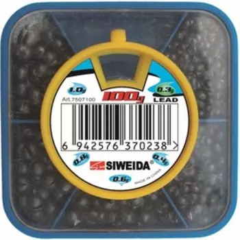 Набор грузов SIWEIDA 100г (7507100)