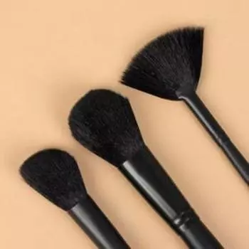 Набор кистей для макияжа «Premium Brush», 3 предмета в чехле, цвет чёрный