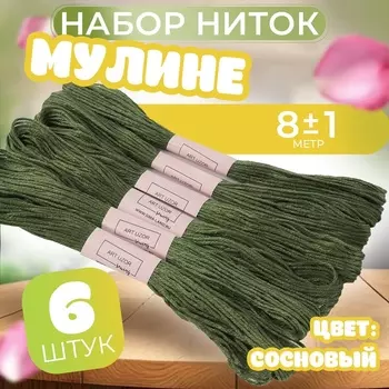 Нитки мулине №3363, 8±1 м, набор 6 шт., зелёный