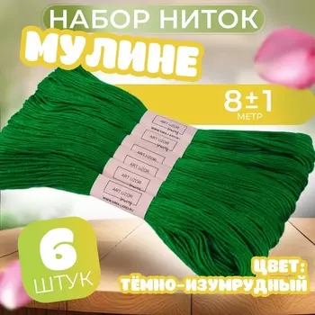 Набор ниток мулине №909, 8±1 м, 6 шт., тёмно-зелёный