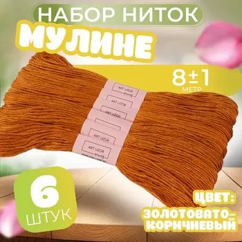 Нитки мулине №909, 8±1 м, набор 6 шт., коричневый