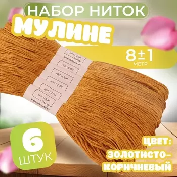 Нитки мулине №976, 8±1 м, набор 6 шт., золотисто-коричневый