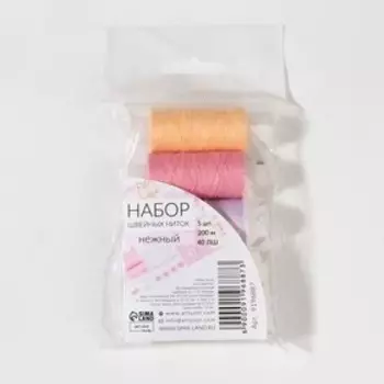 Набор ниток «Нежный», 40ЛШ, 200 м, 5 шт, цвет разноцветный