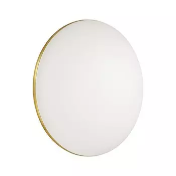 Настенно-потолочный светильник Lassa 48W LED 8x8 см