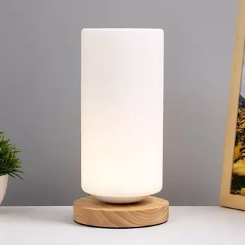 Настольная лампа «Цилиндр» LED 5 Вт USB 121224 см RISALUX