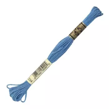 Нитки мулине DMC 117 (334), 12 шт. в упаковке