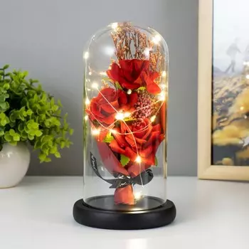 Фигурка светящаяся колба RISALUX «Букет из роз», LED-ночник от батареек 3ААА, 111121 см