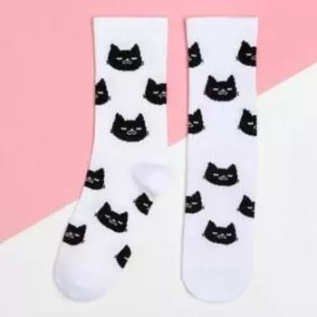 Носки женские KAFTAN "Cats" размер 36-39 (23-25 см)