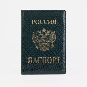 Обложка для паспорта, цвет зелёный