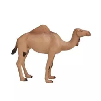 Фигурка Konik «Одногорбый верблюд»