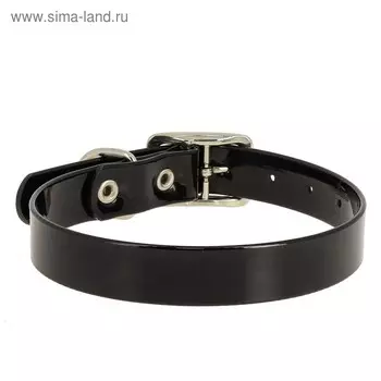 Ошейник из биотана, ОШ 39-51,5 х 2,5 см, чёрный