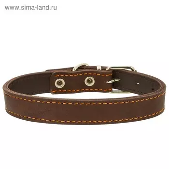 Ошейник кожаный двухслойный, ОШ 44-53 х 3 см, микс цветов