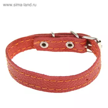 Ошейник кожаный однослойный, микс цветов, 25 х 1,2 см