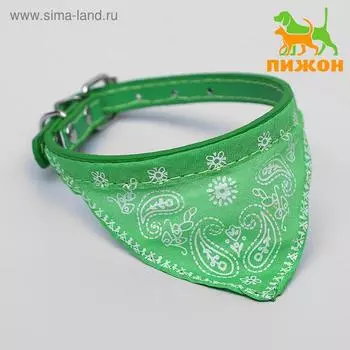 Ошейник с косынкой 32 х 1 см,ОШ 22-28, зелёный