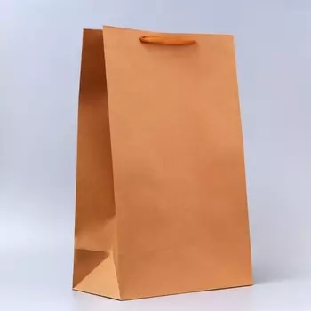 Пакет крафт без печати, 386020 см 210 г