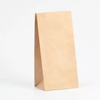 Пакет крафт бумажный, фасовочный, прямоугольное дно, 12824 см, 50 г/м