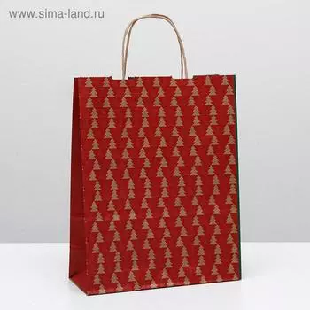 Пакет крафт "Зима", 25 х 11 х 32 см, крученные ручки