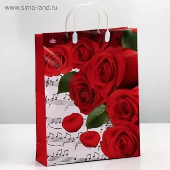 Пакет "Пиано", мягкий пластик, 140 мкм , 40 х 30 см