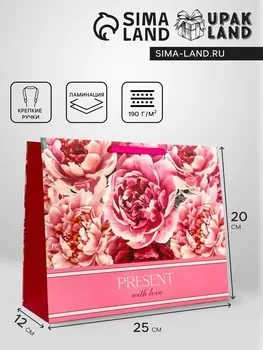 Пакет подарочный горизонтальный Present with Love, 494019 см