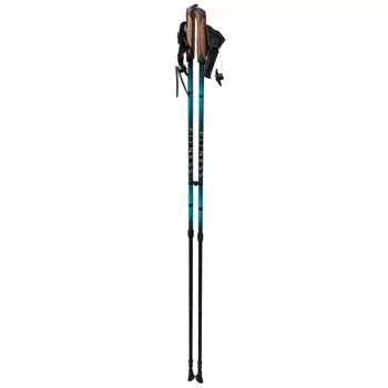 Палки для скандинавской ходьбы Tramp Fitness TRR-011, синий