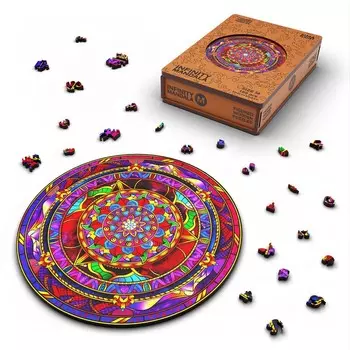 Пазл фигурный Infiniti Mandala, размер 2222 см, 166 деталей