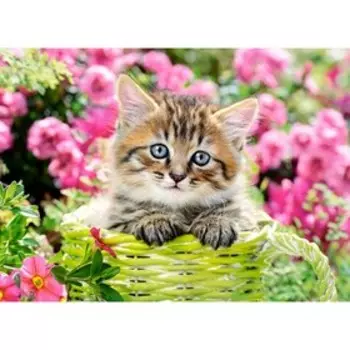 Пазл «Котёнок в саду», 100 элементов