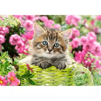 Пазл «Котёнок в саду», 500 элементов