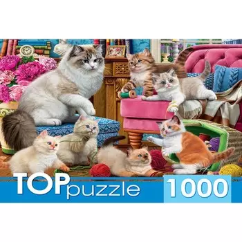 Пазл «Озорные котята», 1000 элементов