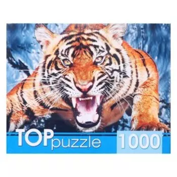 Пазлы «Грозный тигр», 1000 элементов