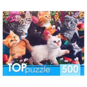 Пазлы «Игривые котята», 500 элементов