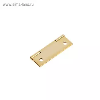 Петля карточная, 50х30, цвет латунь