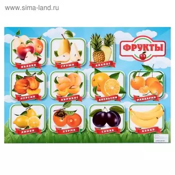 Плакат "Фрукты" А2