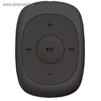 Плеер Flash Digma C2L, 4 Гб, FM, clip,серый