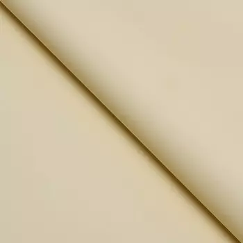 Пленка для цветов тонированная, матовая, шампань, 5757 см ±5% см, 65 мкм