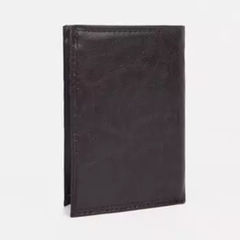 Портмоне мужское без застёжки, 2 в 1, для автодокументов, для купюр, для карт, для монет, цвет коричневый