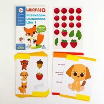 Развивающая игра «Школа IQ Развиваем мышление. Шаг 1»