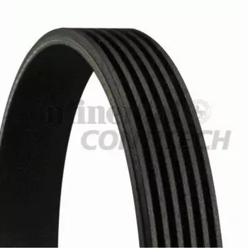 Ремень приводной Contitech 6PK875