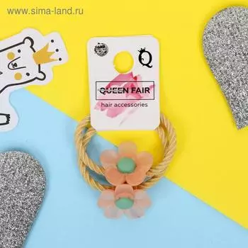 Резинка для волос "Алинка" (цена за пару) матовые ромашки, микс