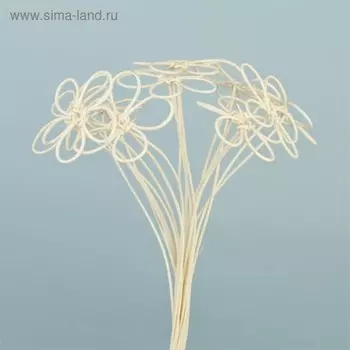 Ротанг, малые на пике, отбеленные, набор 10 шт