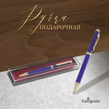 Ручка подарочная, шариковая, в пластиковом футляре, поворотная, «Эксперт», синяя с золотистыми вставками