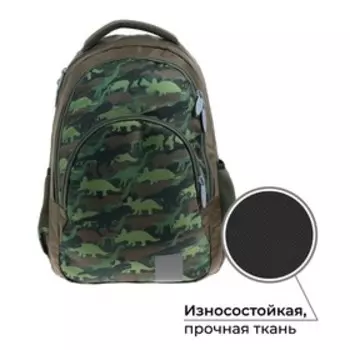 Рюкзак молодёжный, 44 х 30 х 17 см, эргономичная спинка, Calligrata Р "Дино"