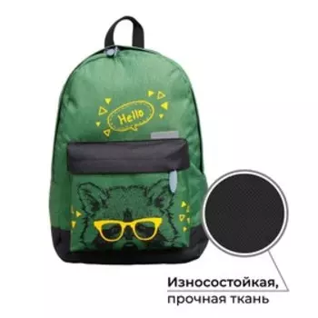 Рюкзак молодёжный, 38 х 28 х 19 см, эргономичная спинка, Calligrata Э "Енот", зелёный